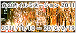 「丸の内イルミネーション 2011」2011 年 11 月 10 日(木)~2012 年 2 月 19 日(日)