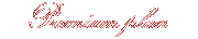 party_premium